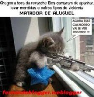 /album/imagens%20engra%c3%a7adas/ie-11-jpeg/